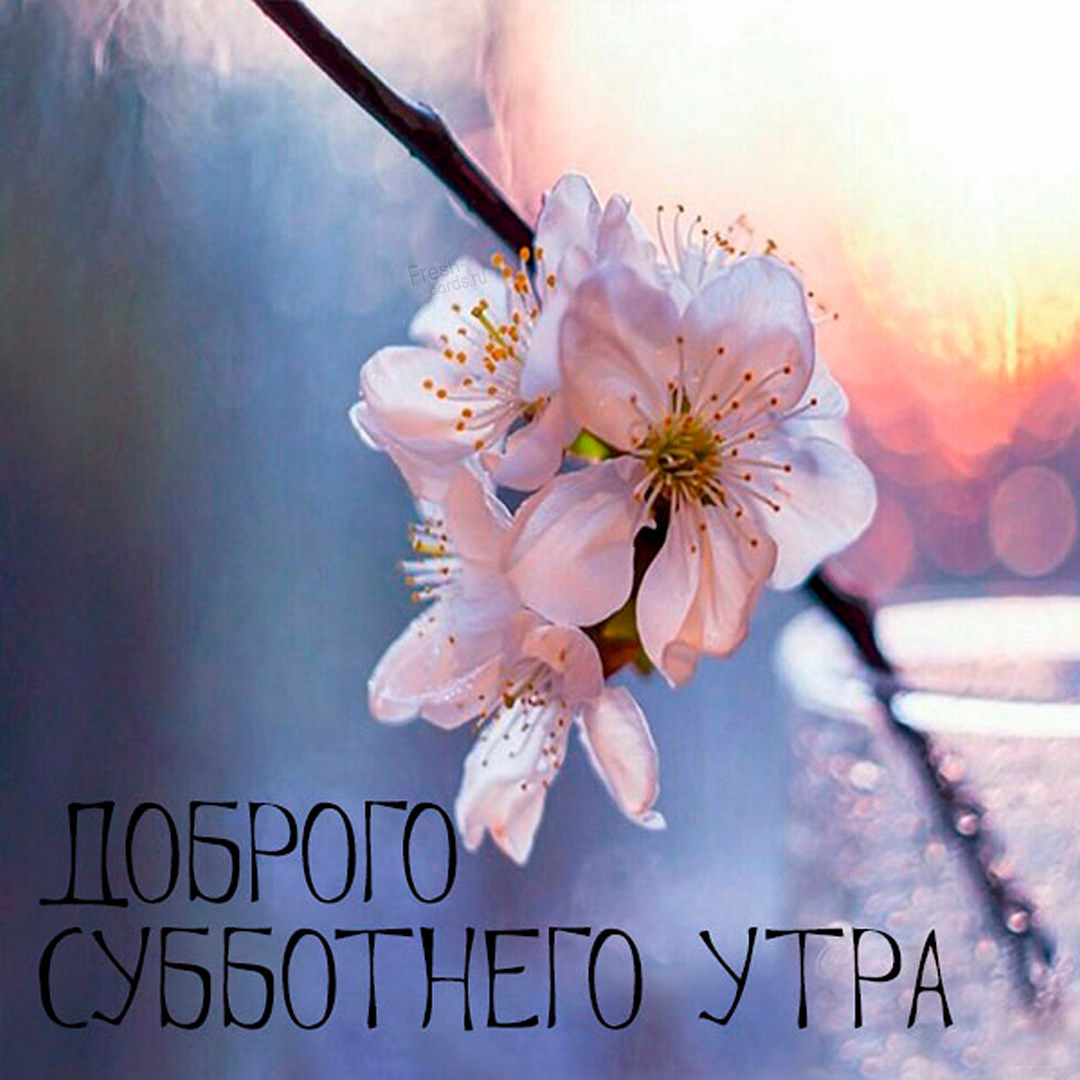 Хостинг картинок yapx.ru