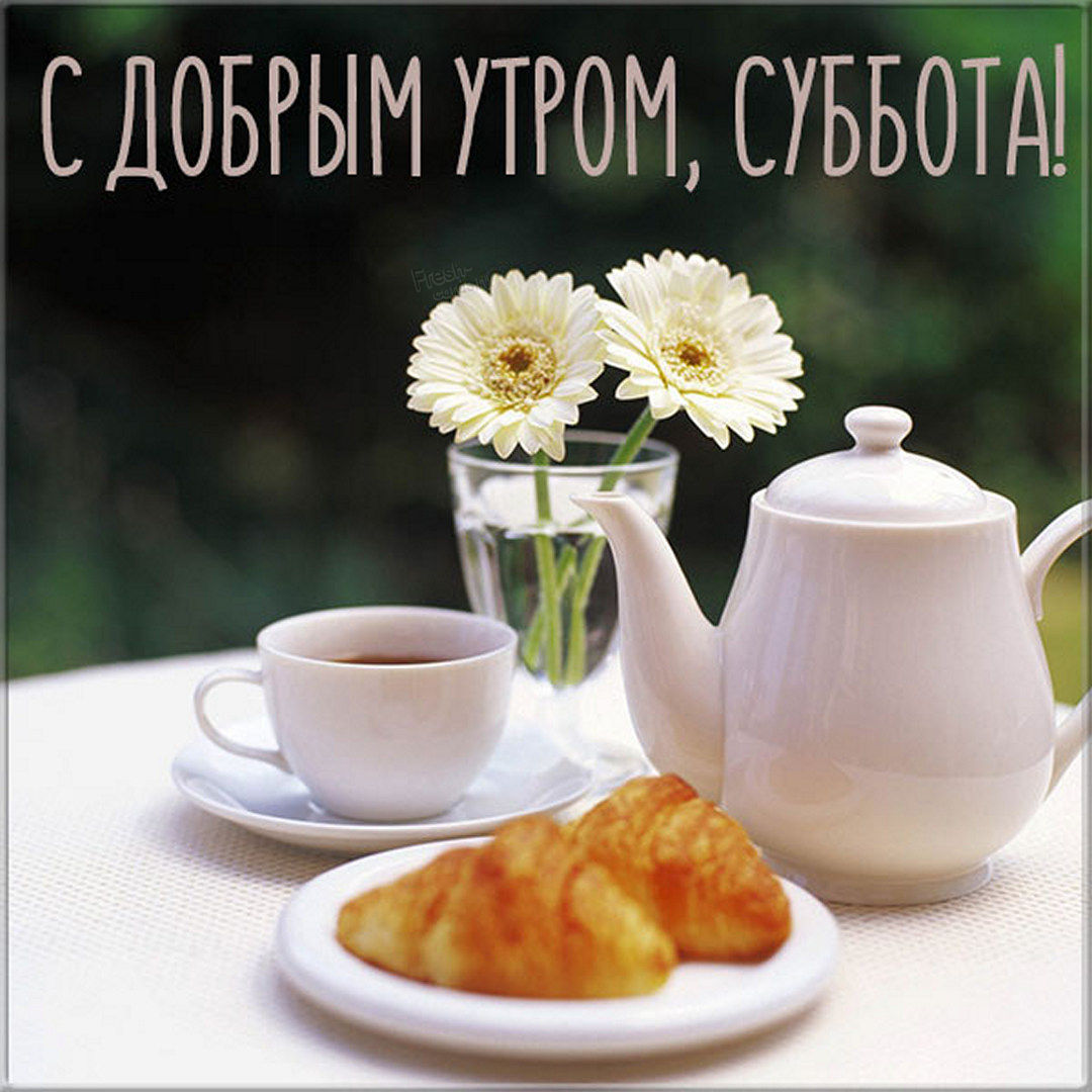 Хостинг картинок yapx.ru