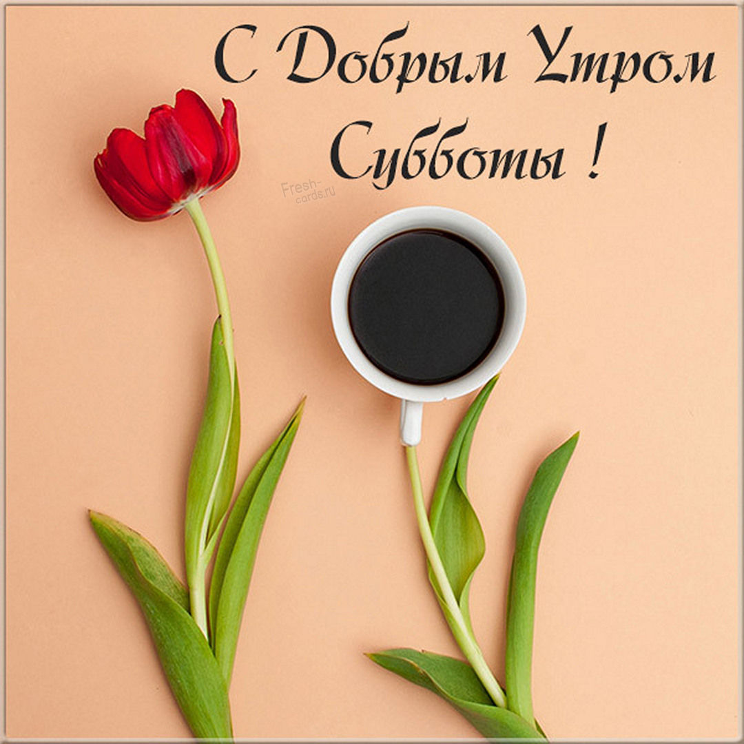 Хостинг картинок yapx.ru