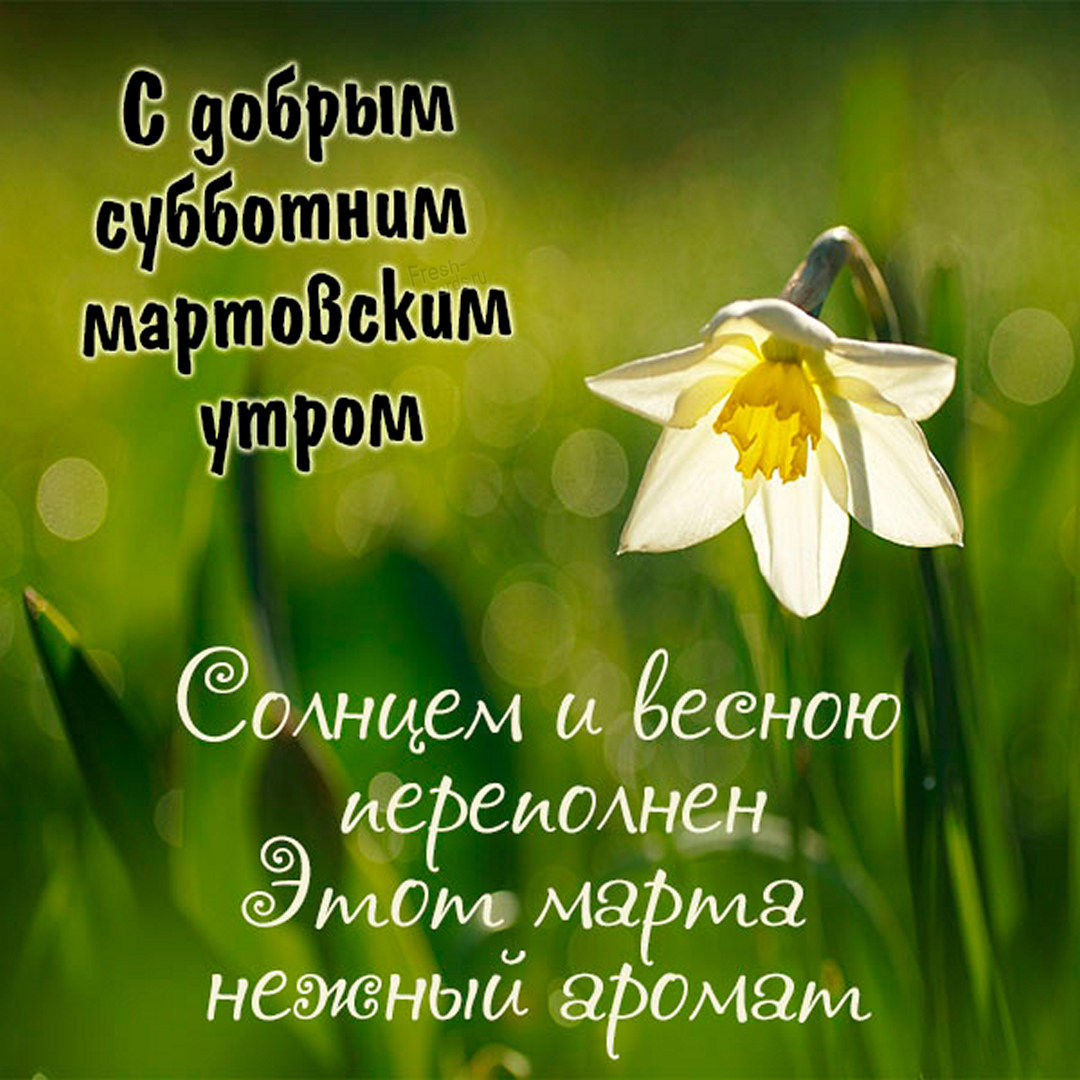 Хостинг картинок yapx.ru