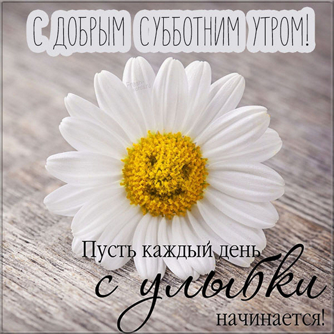 Хостинг картинок yapx.ru