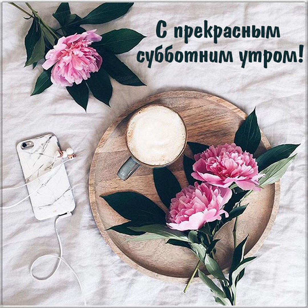 Хостинг картинок yapx.ru