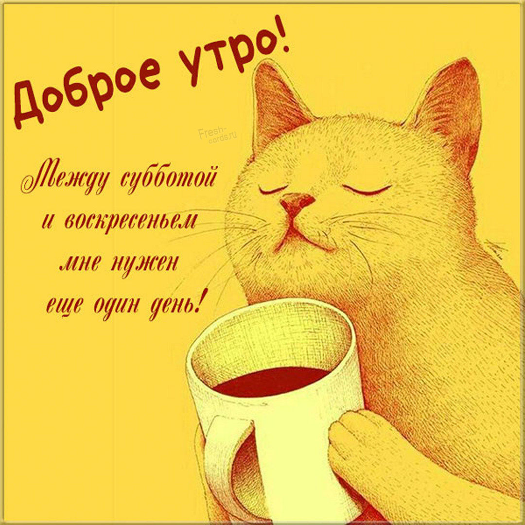 Хостинг картинок yapx.ru