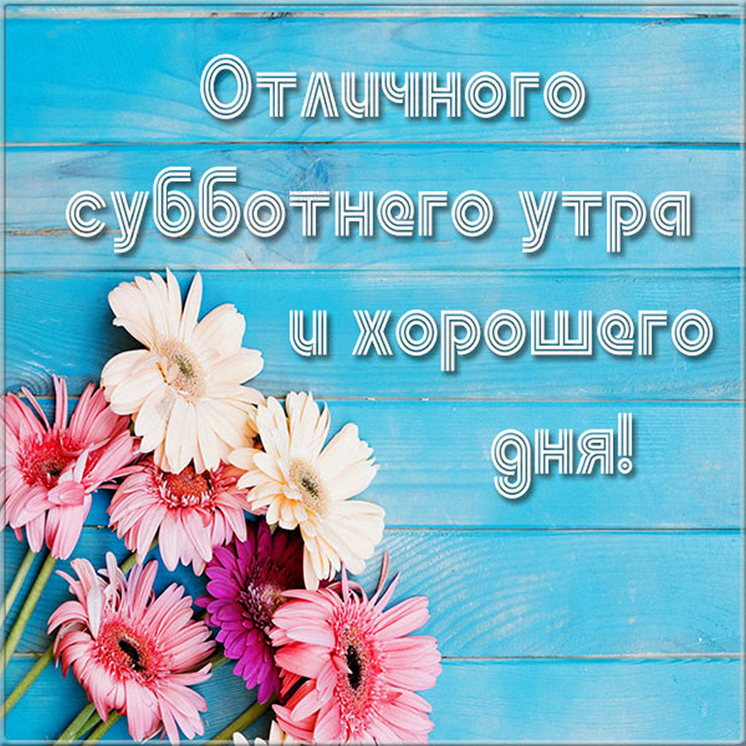 Хостинг картинок yapx.ru