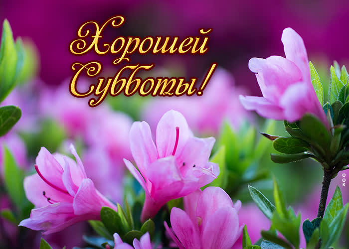 Хостинг картинок yapx.ru