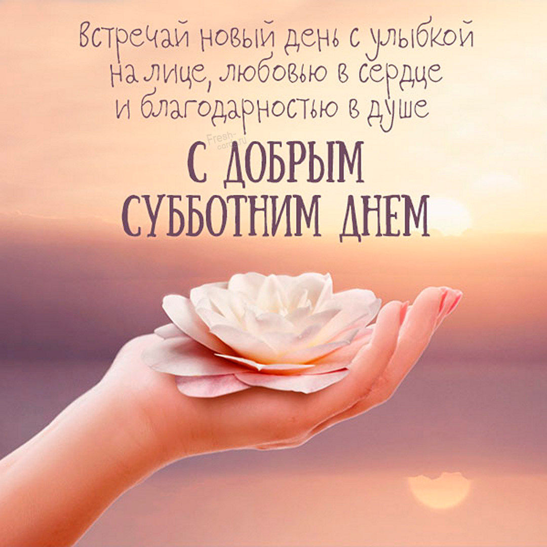 Хостинг картинок yapx.ru