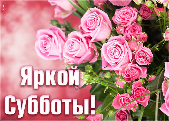 Хостинг картинок yapx.ru