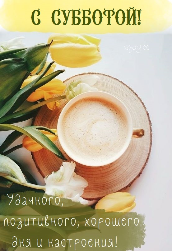 Хостинг картинок yapx.ru