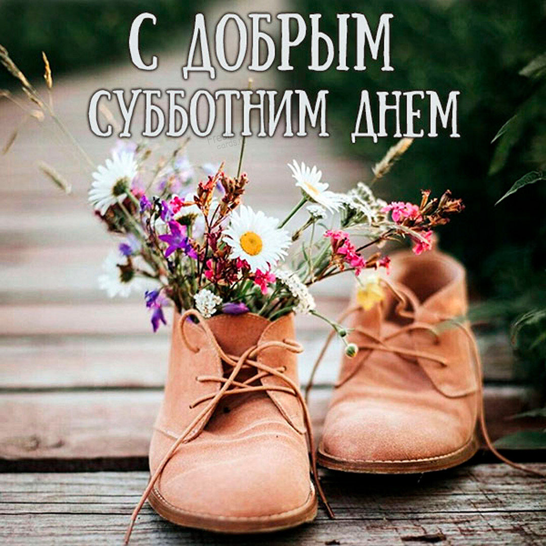 Хостинг картинок yapx.ru