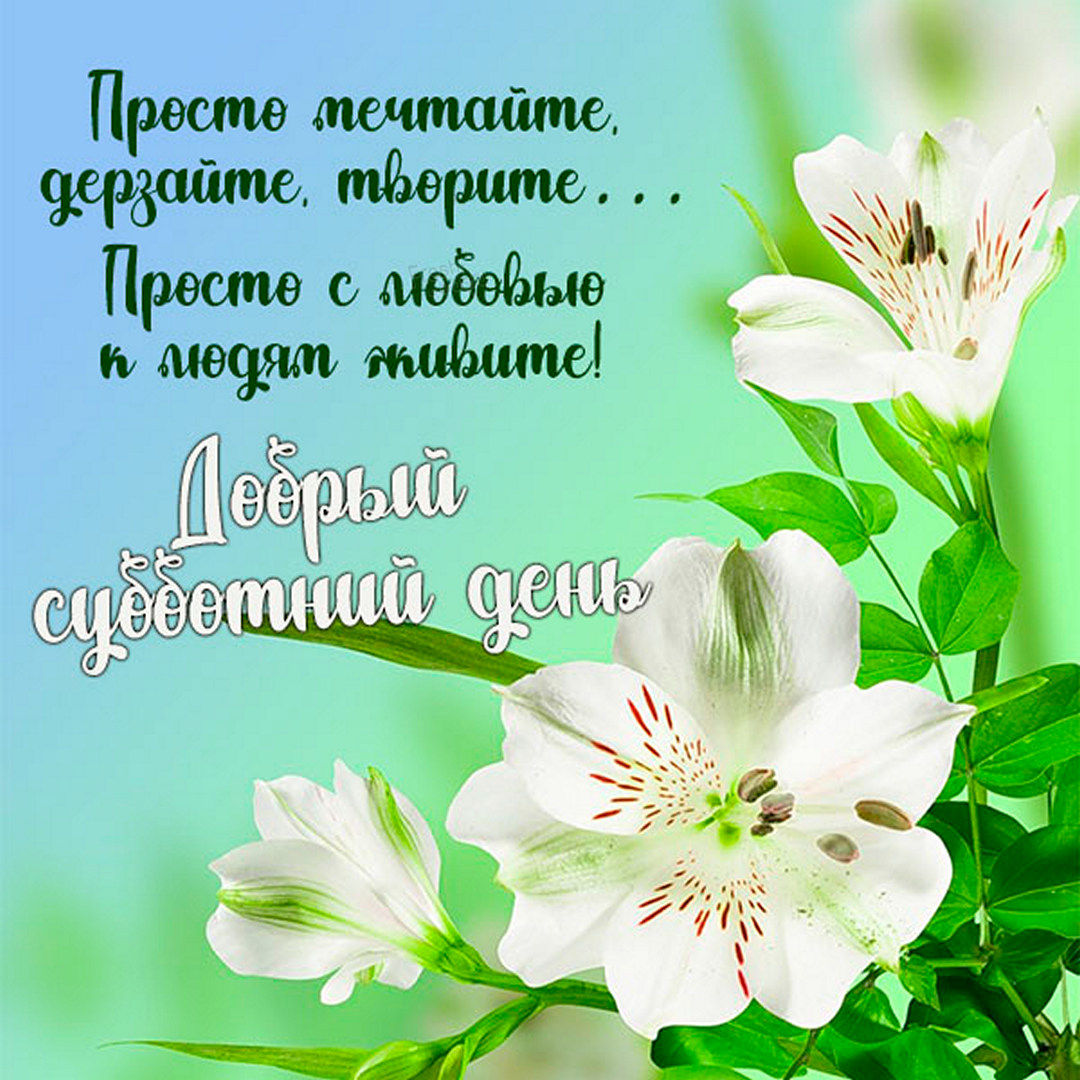 Хостинг картинок yapx.ru