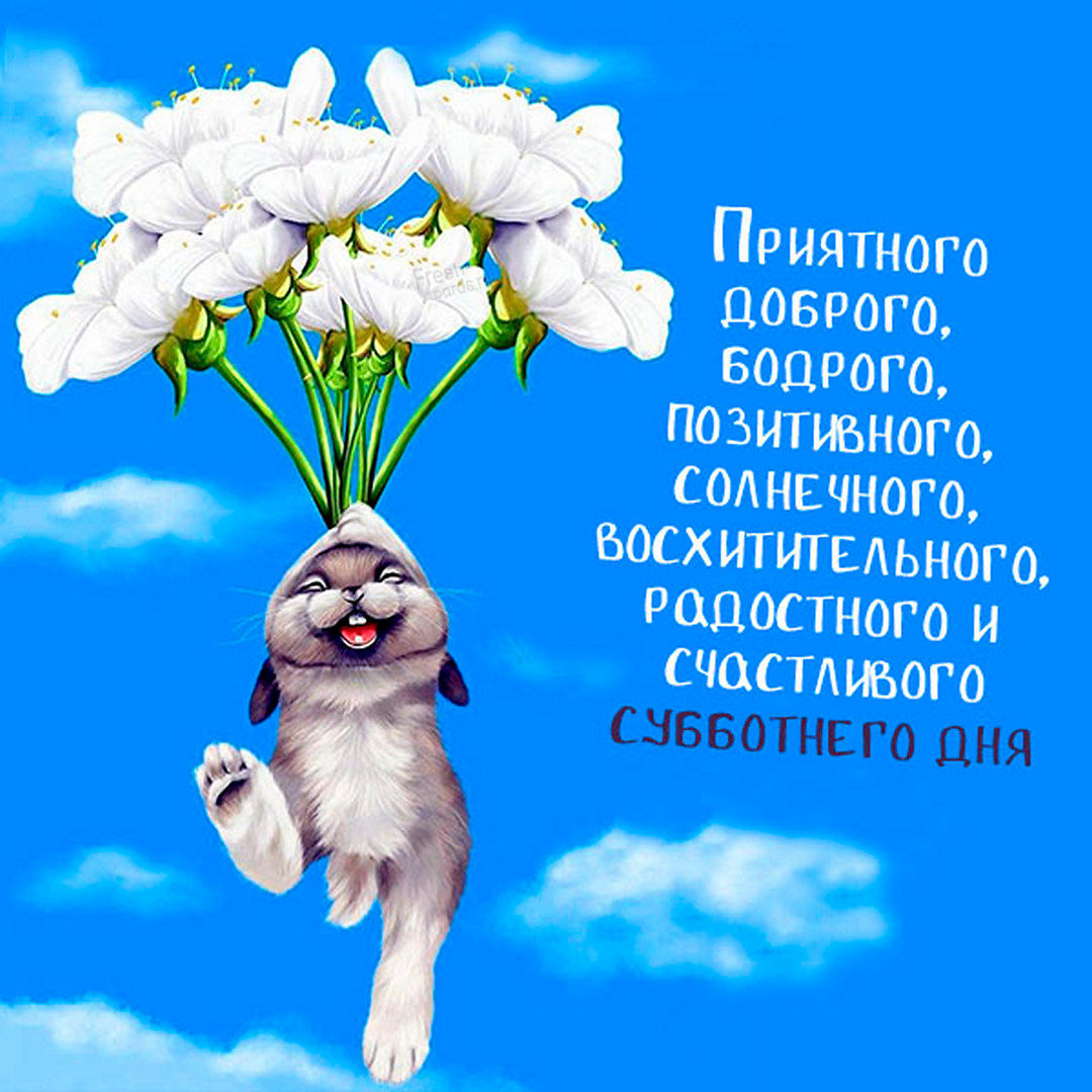 Хостинг картинок yapx.ru
