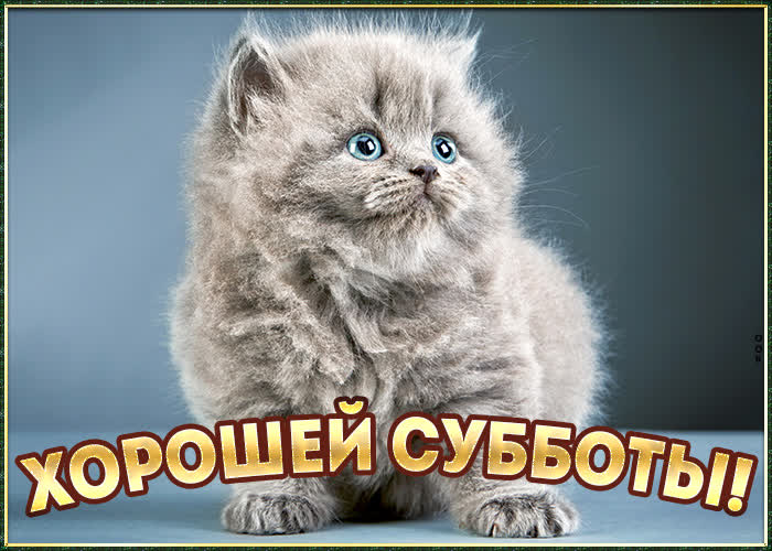 Хостинг картинок yapx.ru
