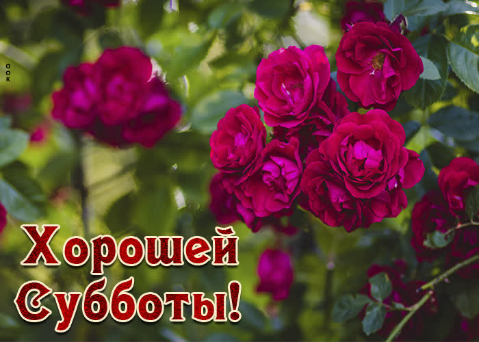 Хостинг картинок yapx.ru