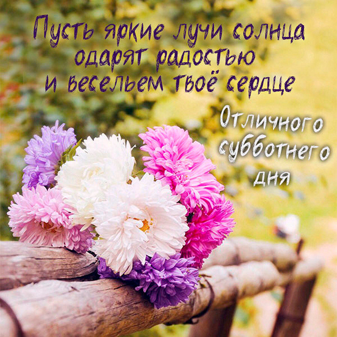 Хостинг картинок yapx.ru