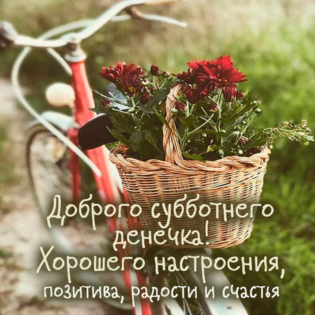 Хостинг картинок yapx.ru