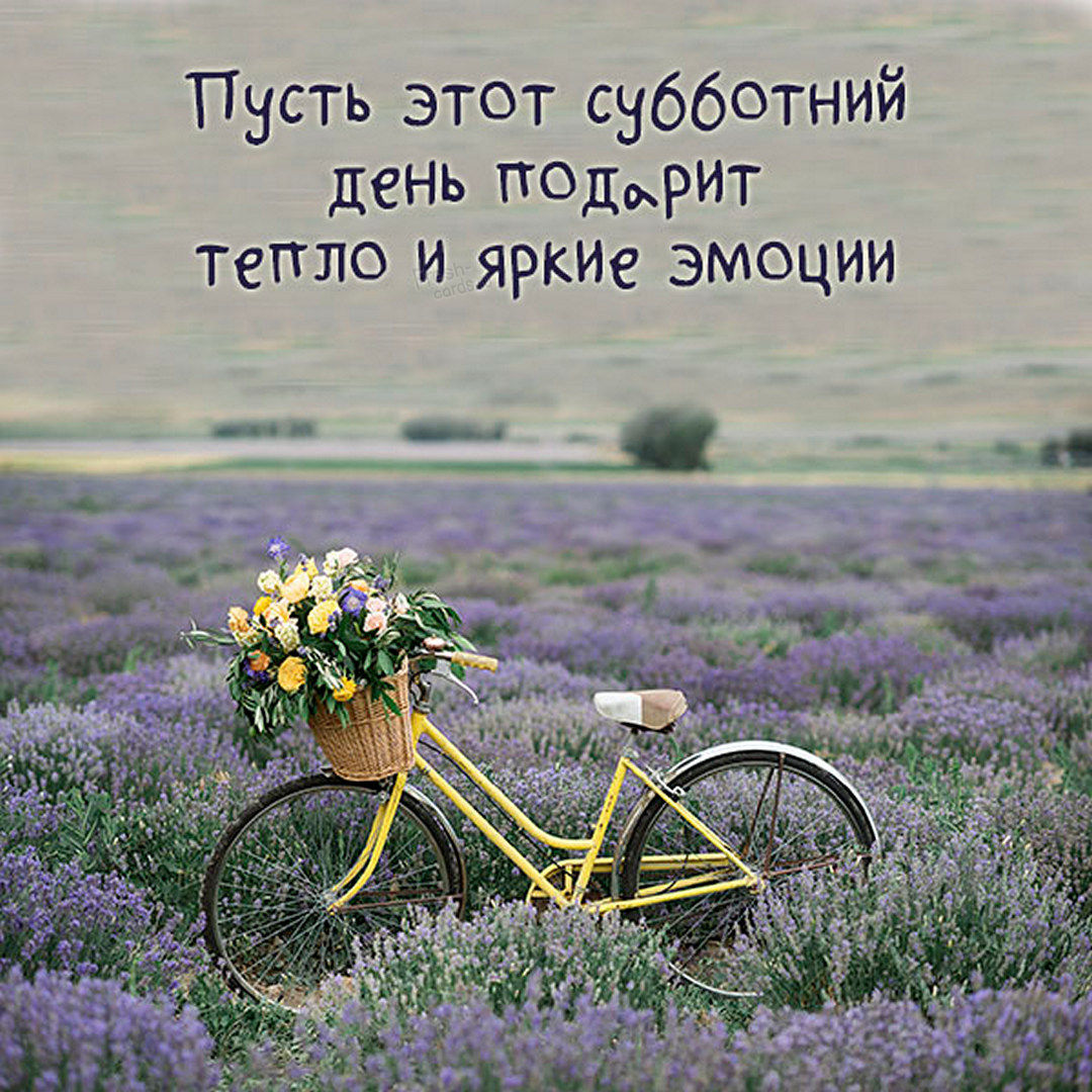 Хостинг картинок yapx.ru