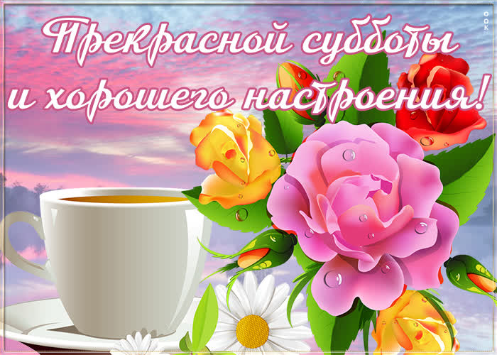 Хостинг картинок yapx.ru