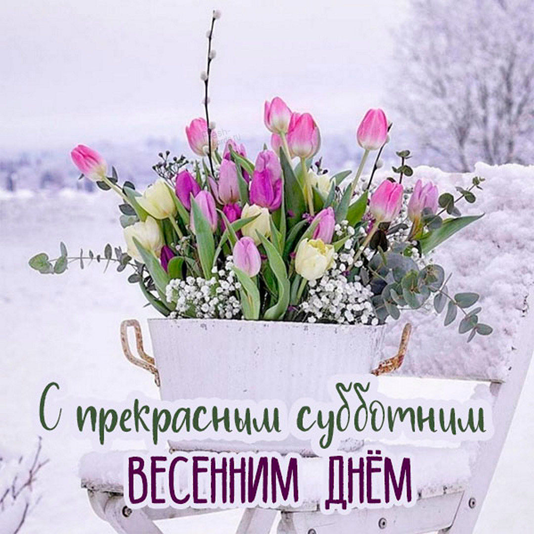 Хостинг картинок yapx.ru
