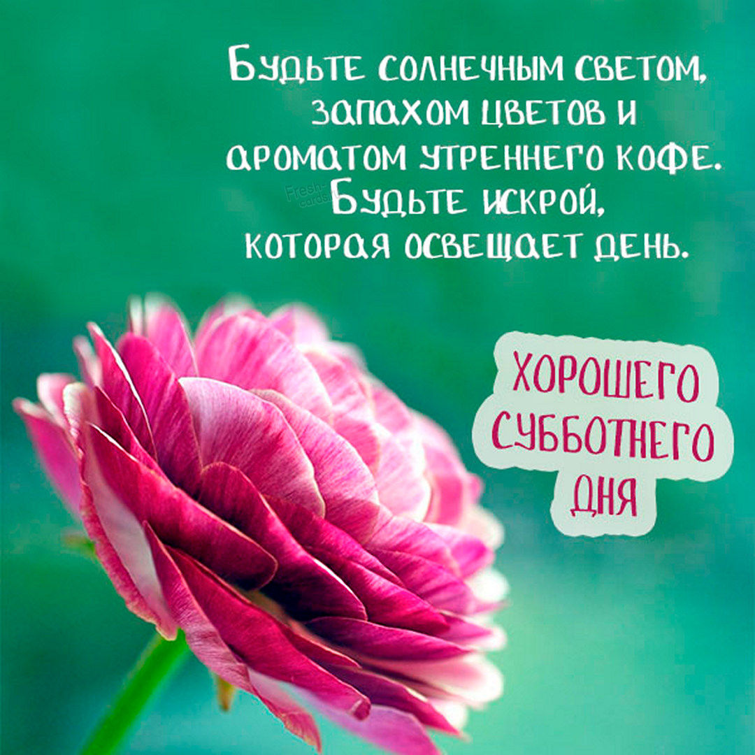 Хостинг картинок yapx.ru