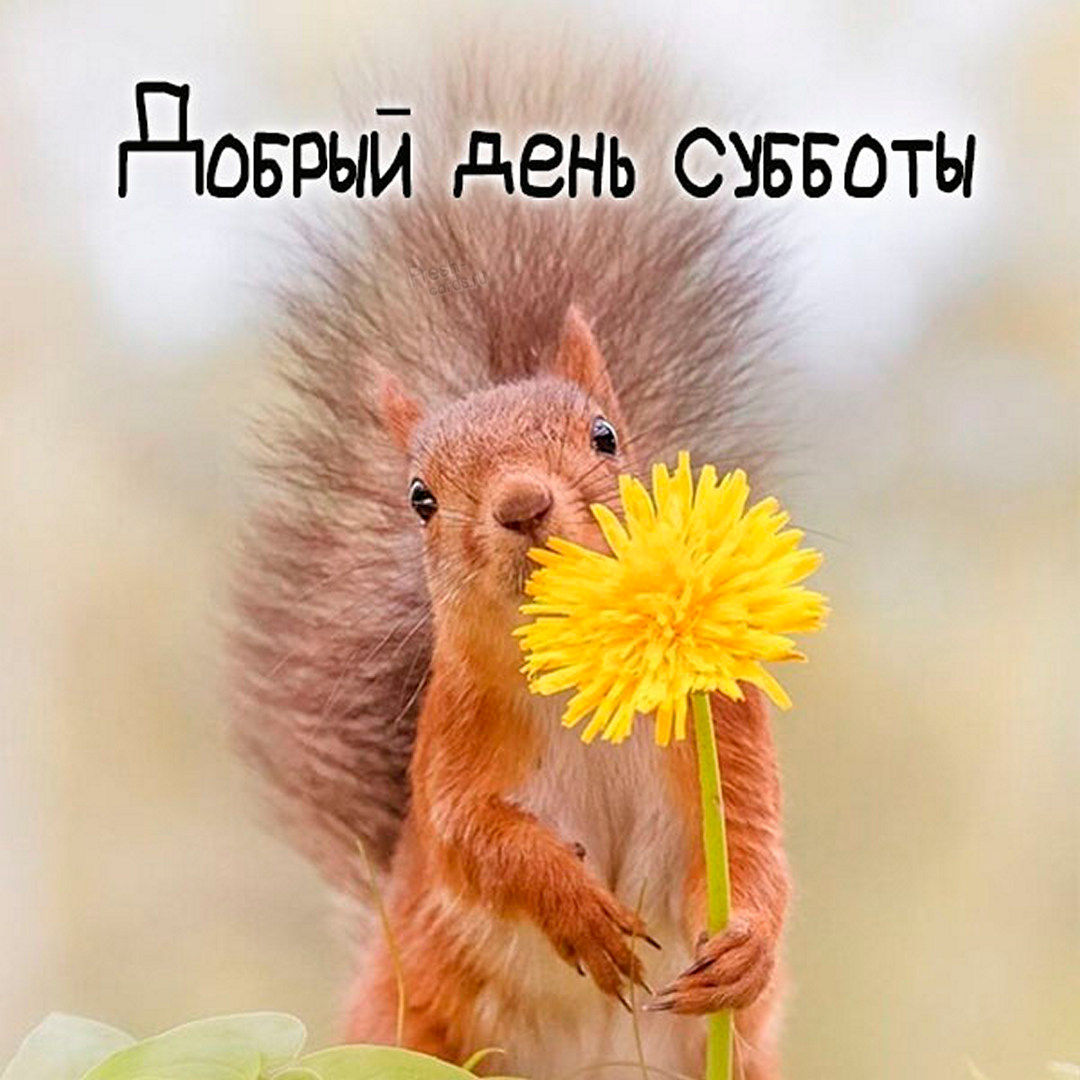 Хостинг картинок yapx.ru