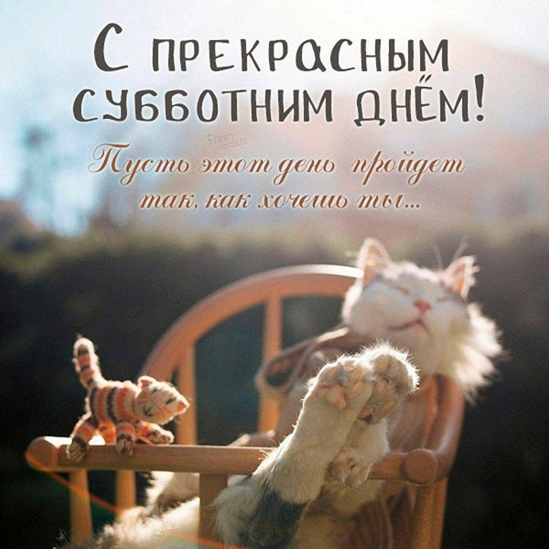 Хостинг картинок yapx.ru