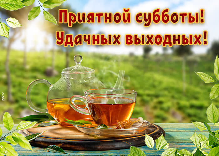 Хостинг картинок yapx.ru