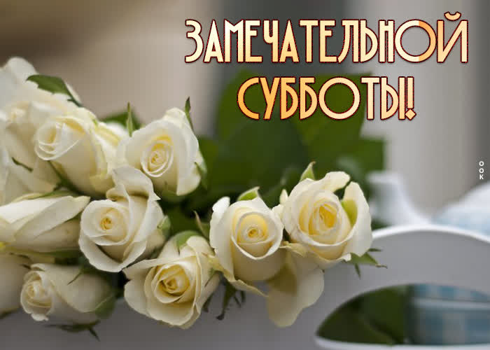 Хостинг картинок yapx.ru