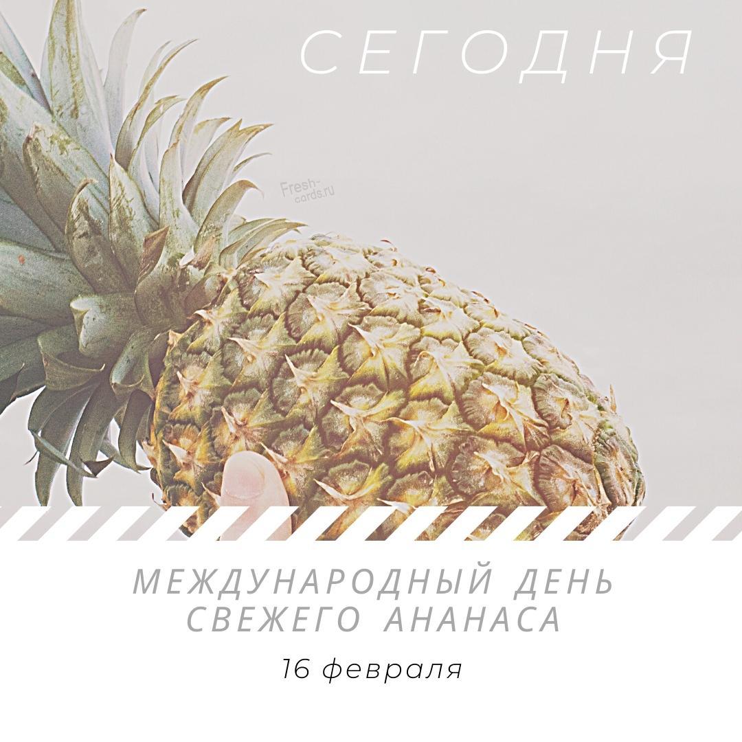 Хостинг картинок yapx.ru