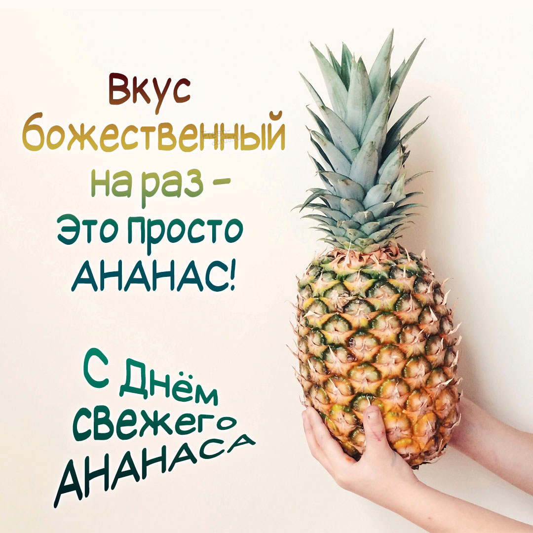 Хостинг картинок yapx.ru