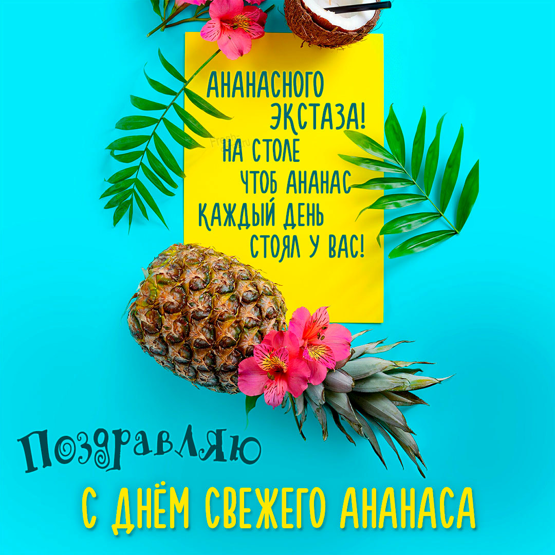 Хостинг картинок yapx.ru
