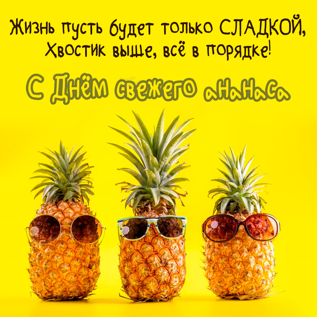 Хостинг картинок yapx.ru