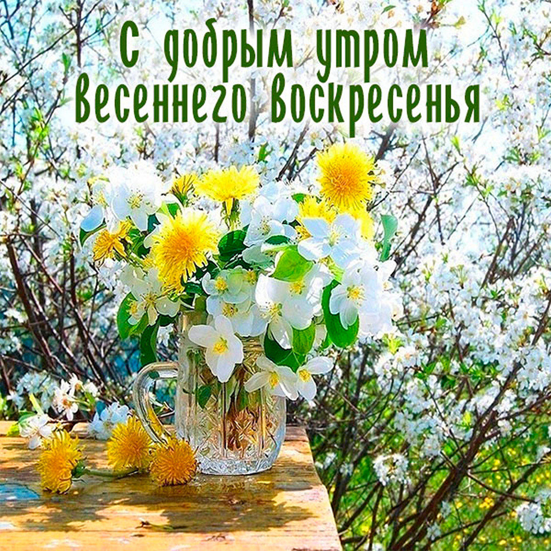 Хостинг картинок yapx.ru