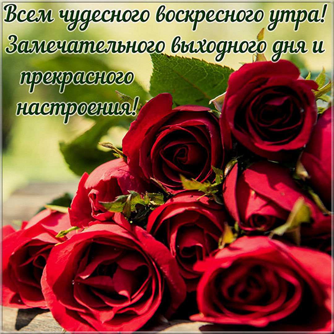 Хостинг картинок yapx.ru