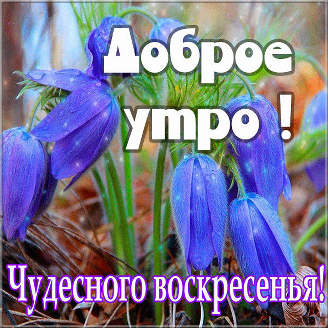 Хостинг картинок yapx.ru