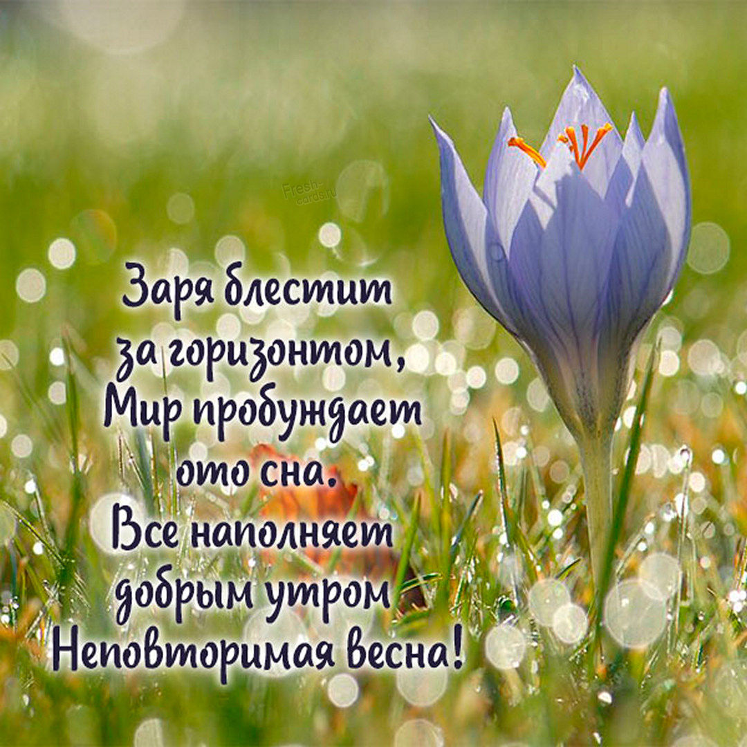 Хостинг картинок yapx.ru