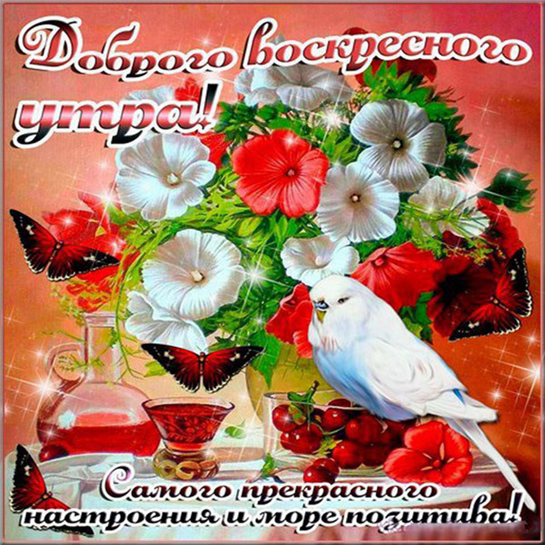 Хостинг картинок yapx.ru