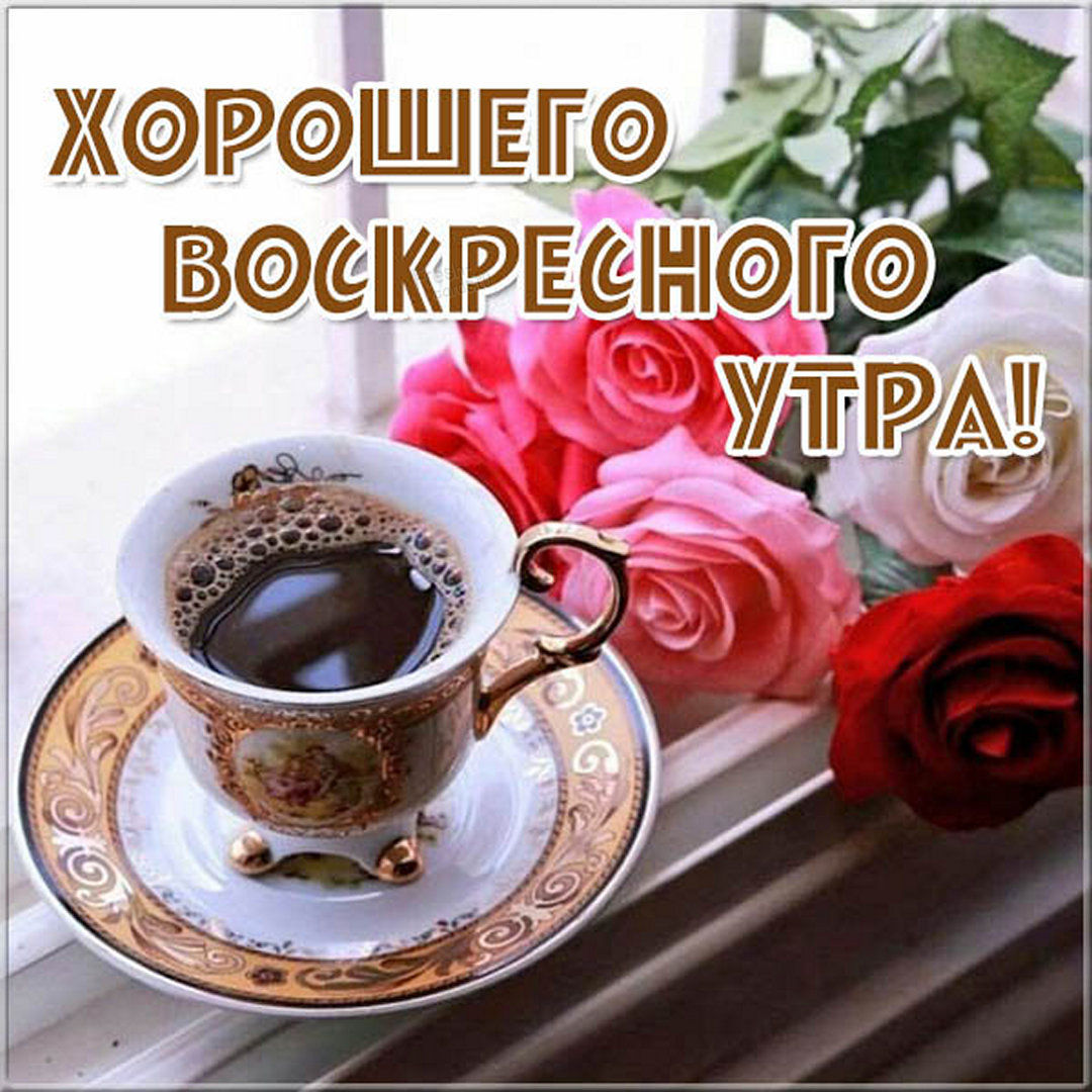 Хостинг картинок yapx.ru