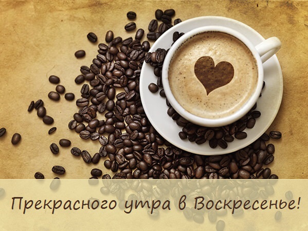 Хостинг картинок yapx.ru
