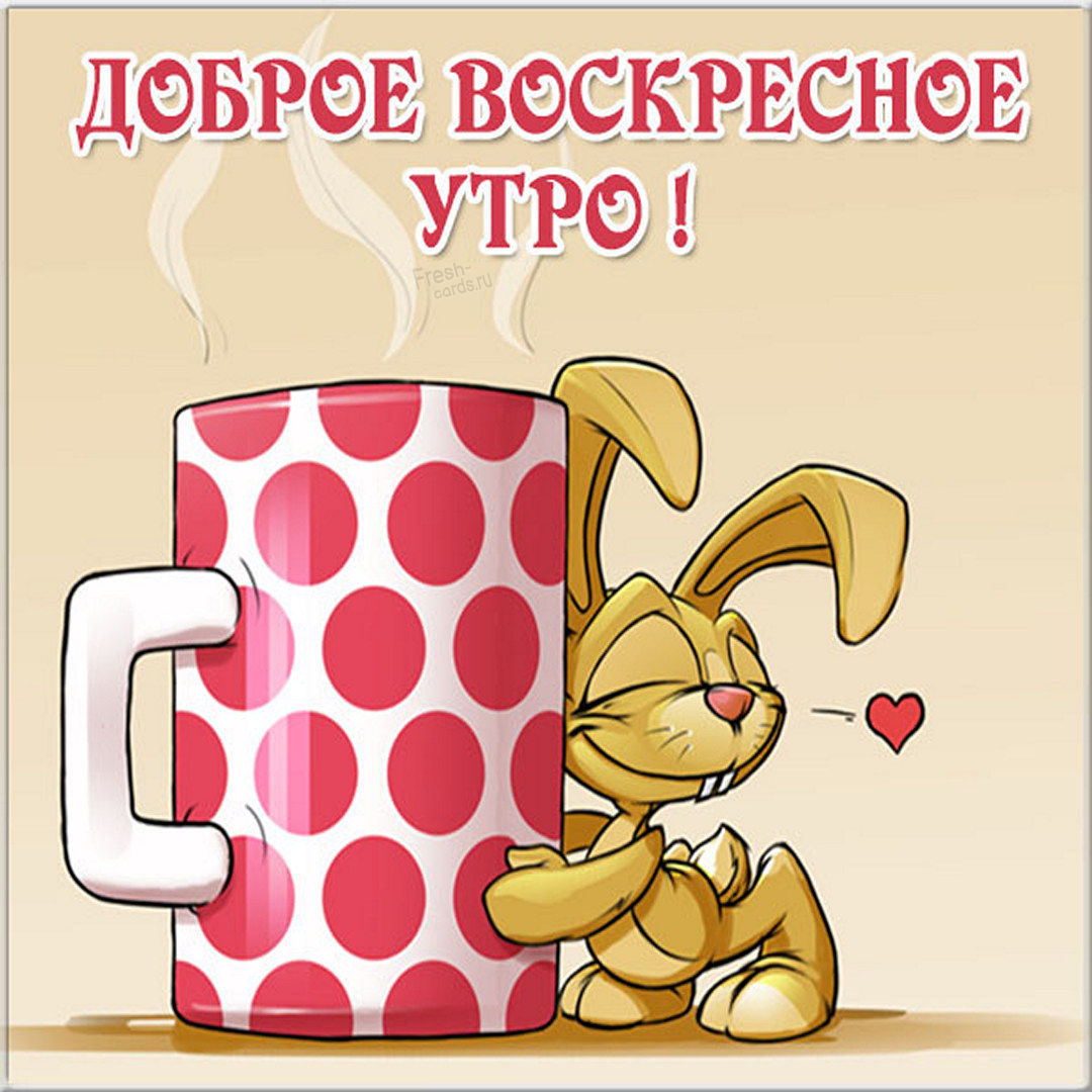 Хостинг картинок yapx.ru