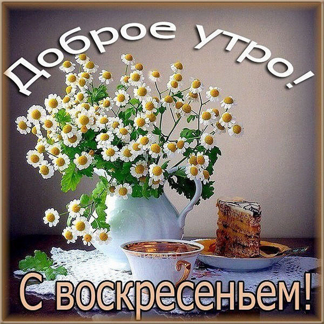 Хостинг картинок yapx.ru