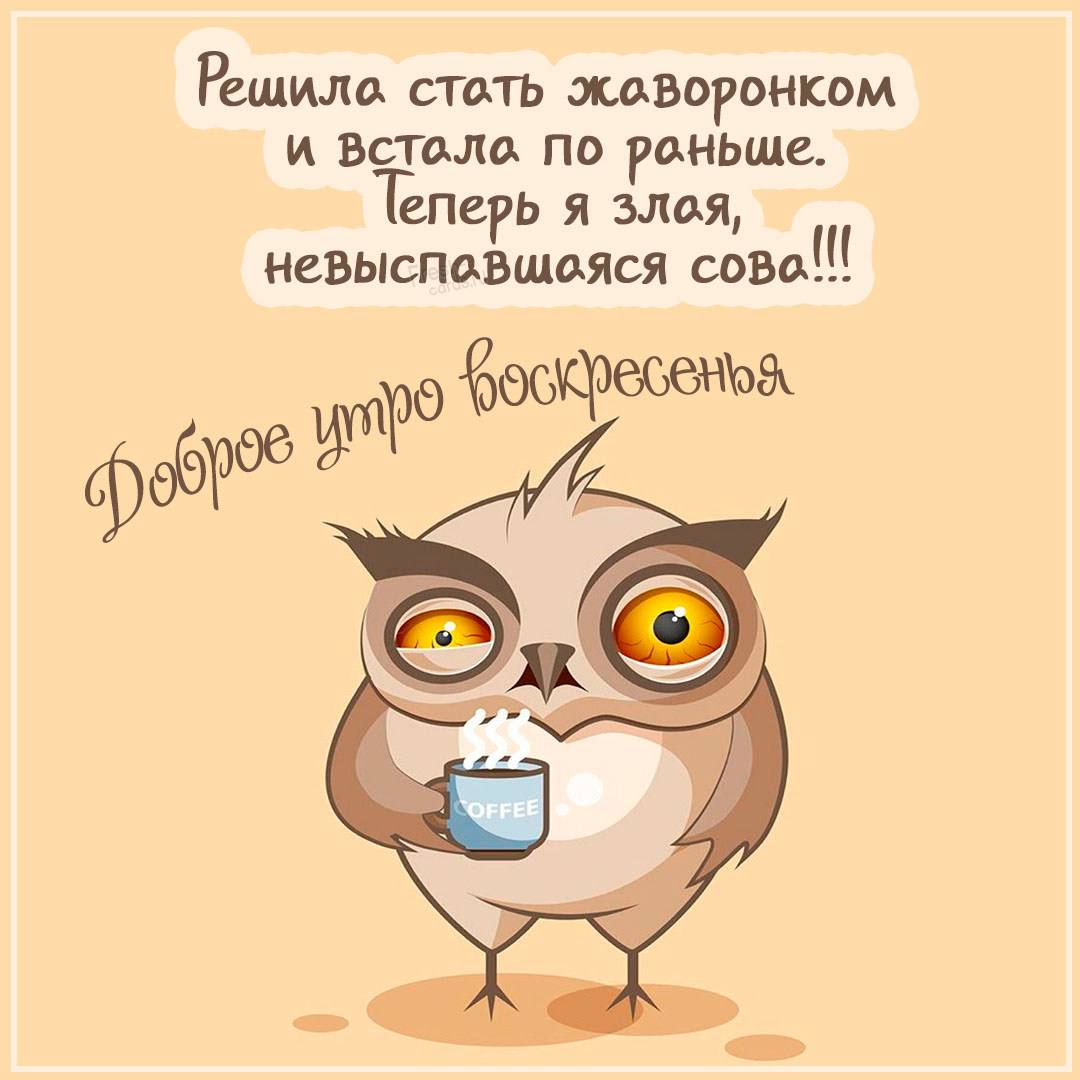 Хостинг картинок yapx.ru