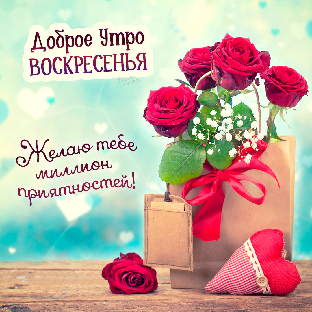 Хостинг картинок yapx.ru