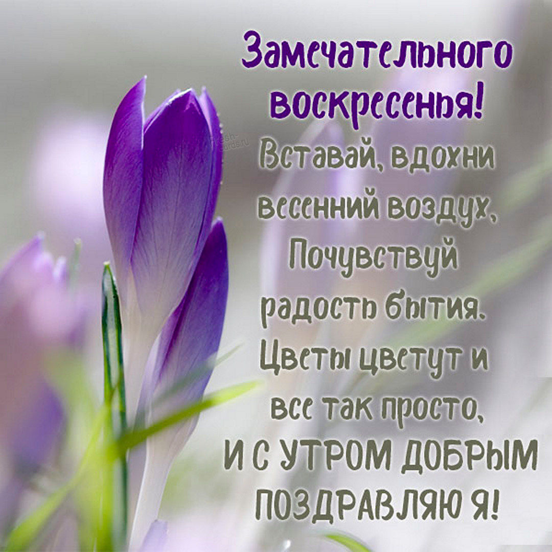 Хостинг картинок yapx.ru