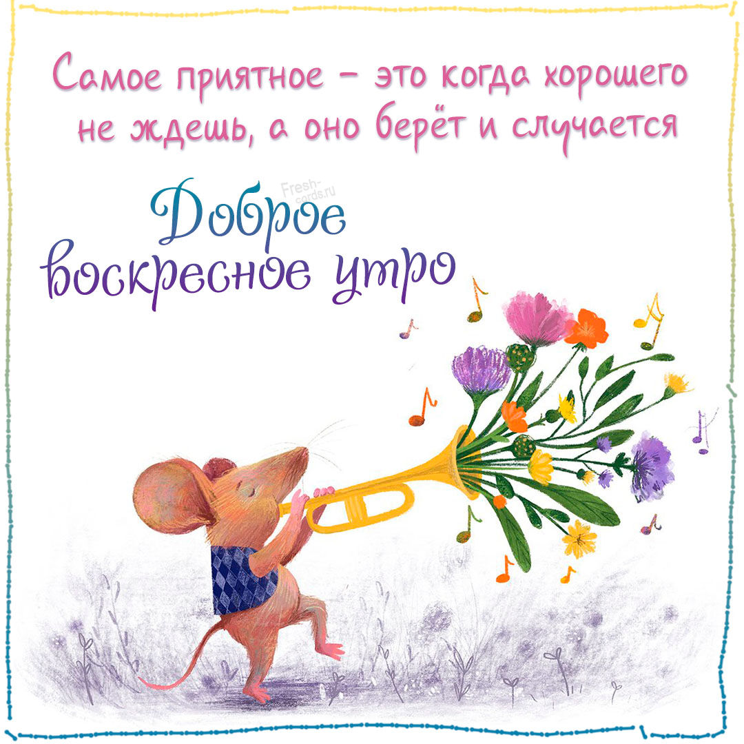 Хостинг картинок yapx.ru