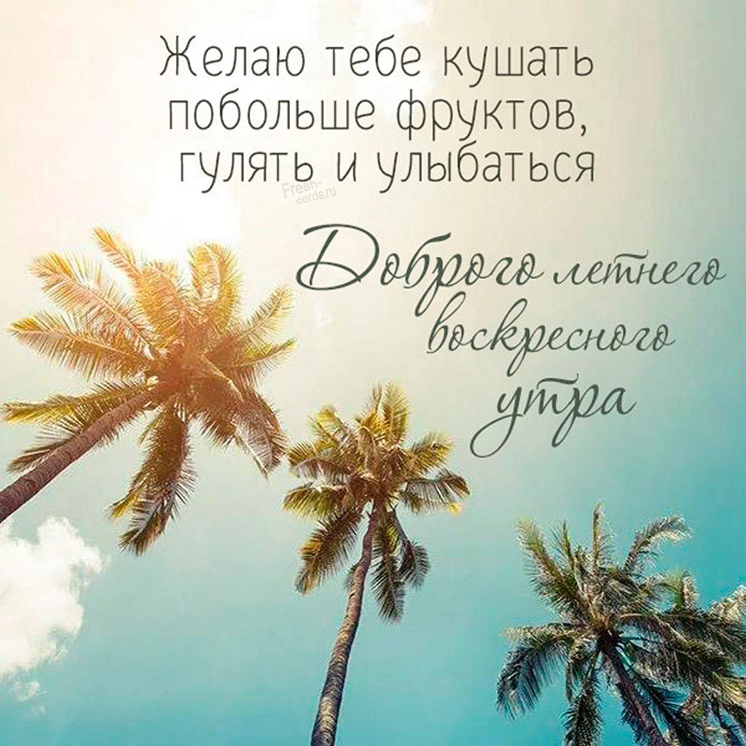 Хостинг картинок yapx.ru