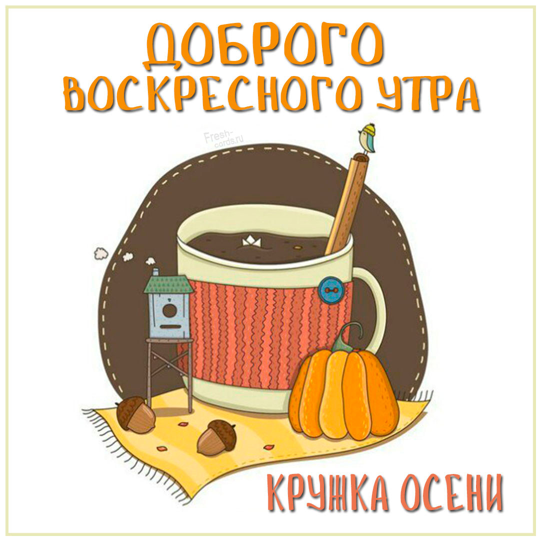 Хостинг картинок yapx.ru