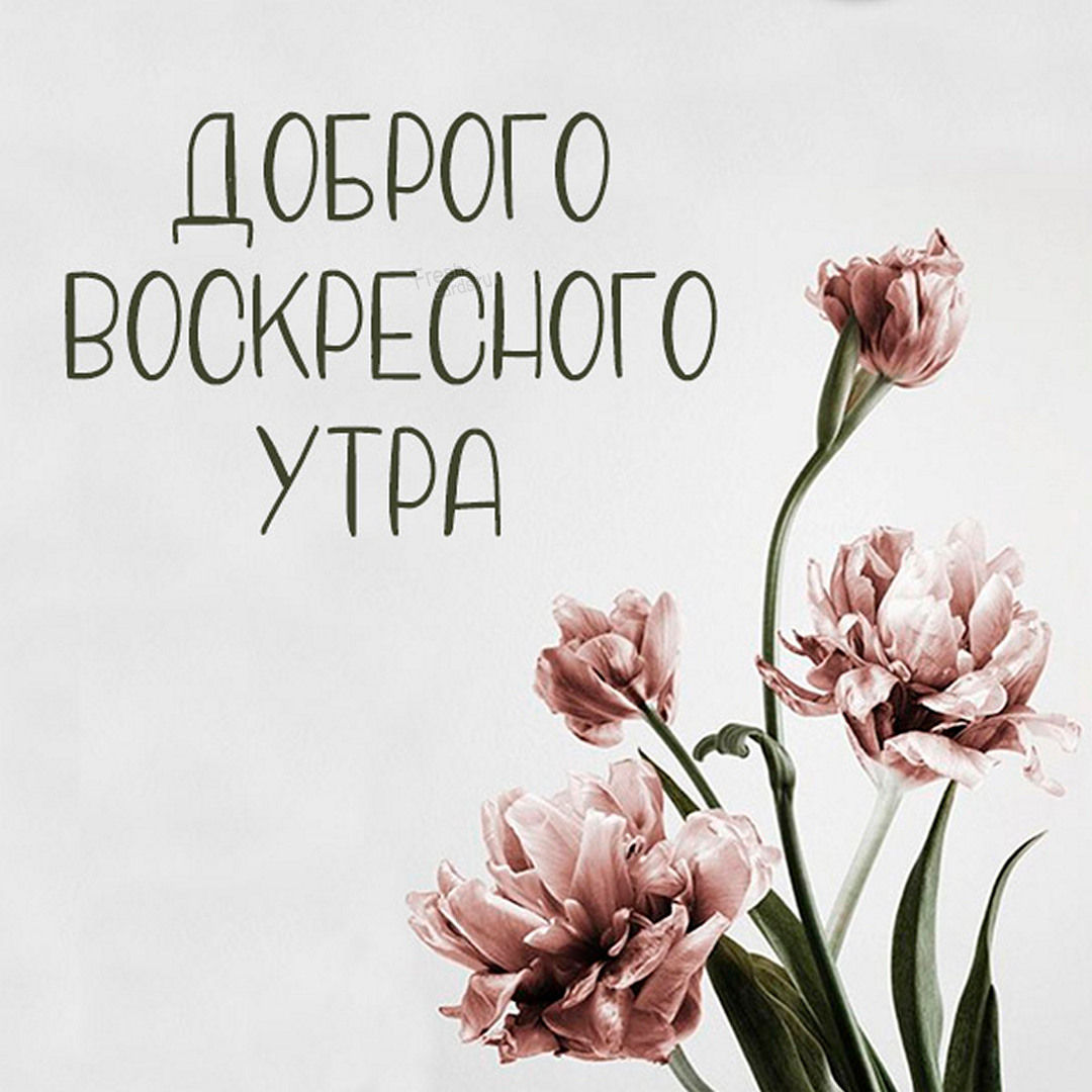 Хостинг картинок yapx.ru