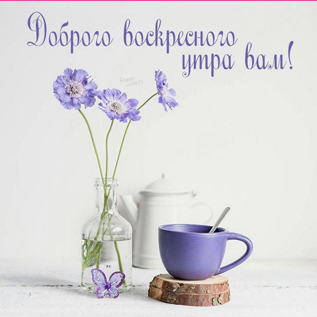 Хостинг картинок yapx.ru