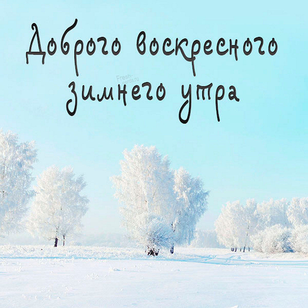 Хостинг картинок yapx.ru