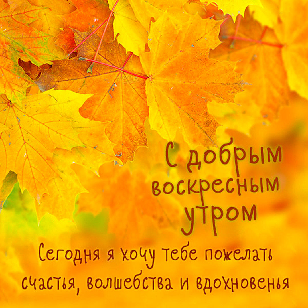 Хостинг картинок yapx.ru